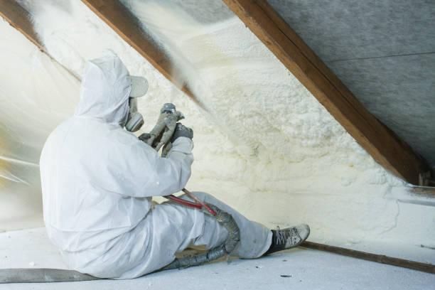 Best Eco-Friendly or Green Insulation Solutions in Canyon Day, AZ